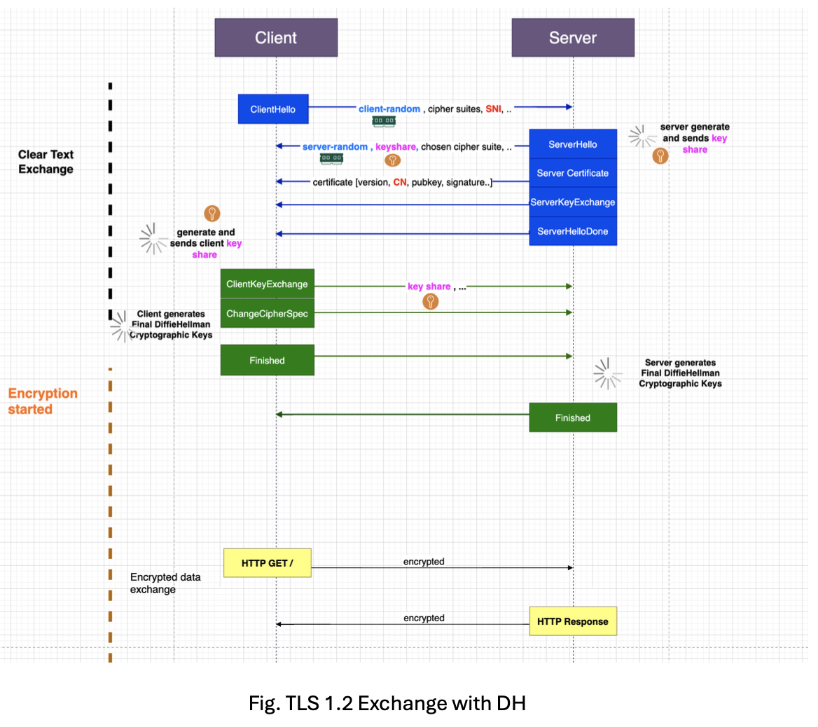 TLS 1.2 with DH exchange diagram