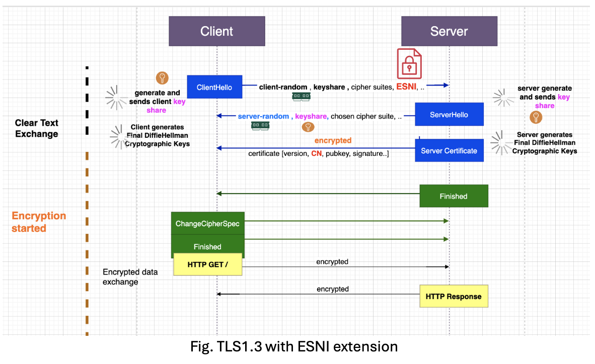 TLS 1.3 with ESNI Extension